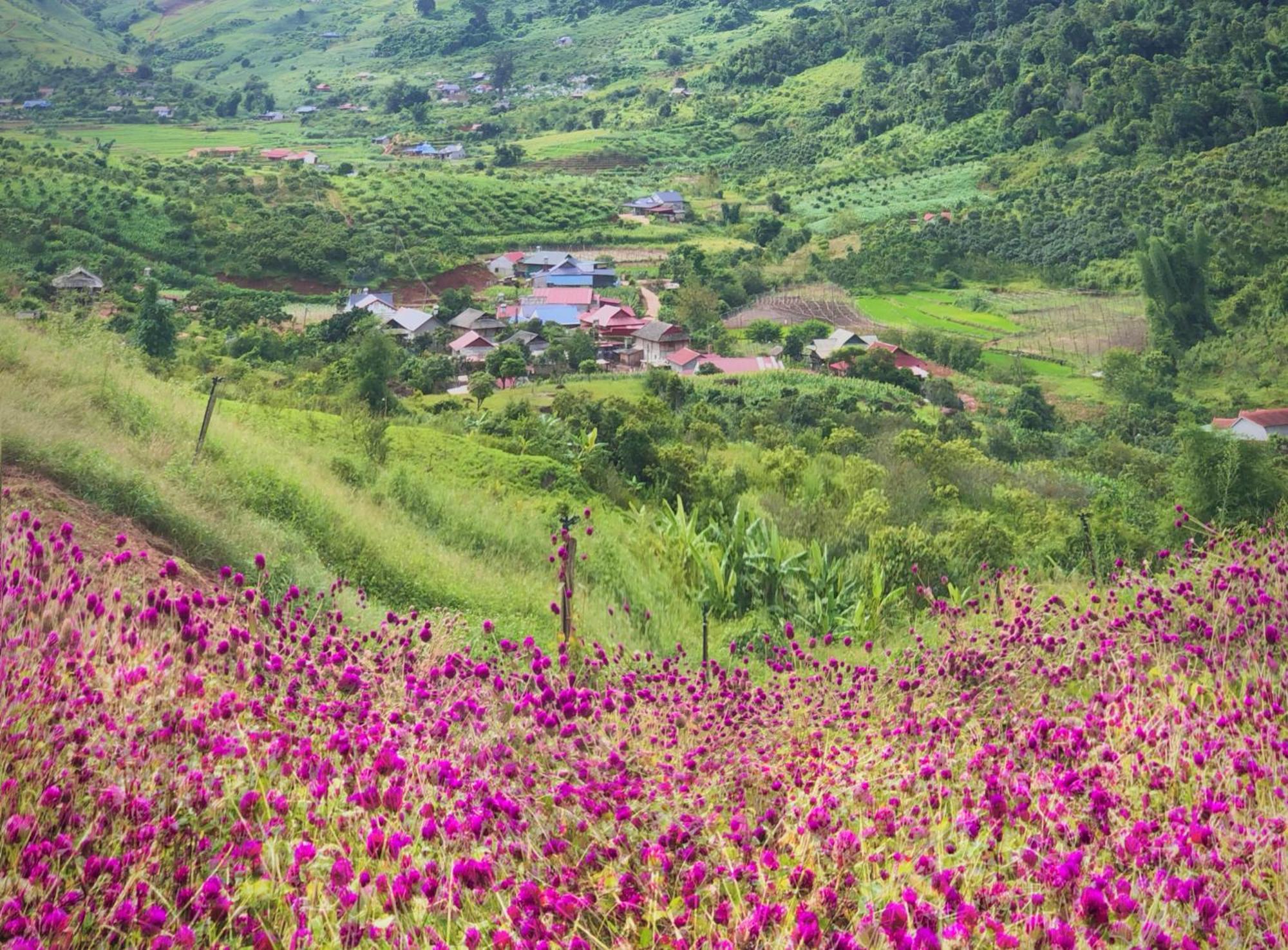 Muong Sang Farmstay Moc Chau Zewnętrze zdjęcie